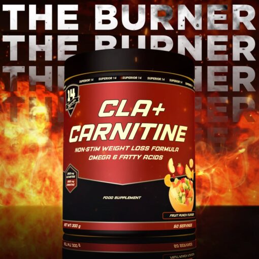 Cla + Carnitine Powder 300γρ - Image 2