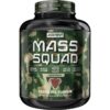 ARMY 1 MASS SQUAD